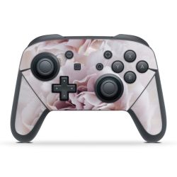 Folien für Controller matt