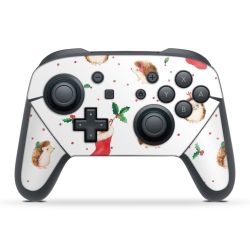 Folien für Controller matt