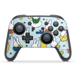 Folien für Controller matt