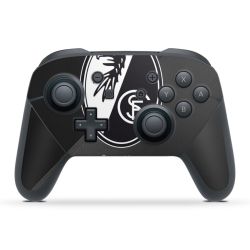 Folien für Controller matt