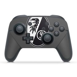 Folien für Controller matt