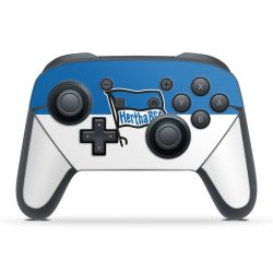 Folien für Controller matt