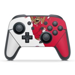 Folien für Controller matt