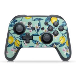 Folien für Controller matt