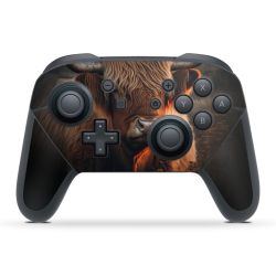 Folien für Controller matt