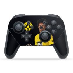 Folien für Controller matt