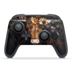 Folien für Controller matt