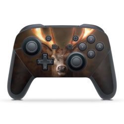 Folien für Controller matt