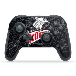 Folien für Controller matt