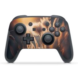 Folien für Controller matt