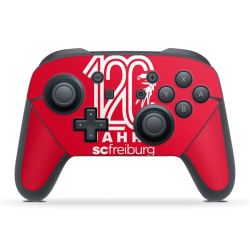 Folien für Controller matt