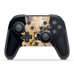 Folien für Controller matt