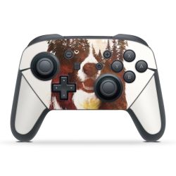 Folien für Controller matt