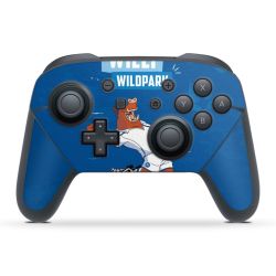 Folien für Controller matt