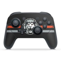 Folien für Controller matt