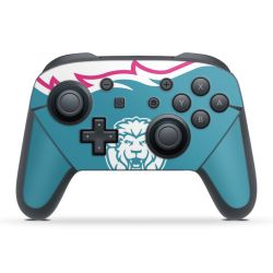 Folien für Controller matt