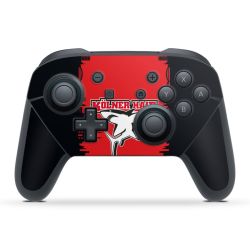 Folien für Controller matt