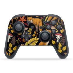 Folien für Controller matt