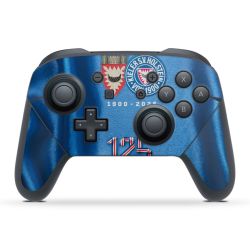 Folien für Controller matt