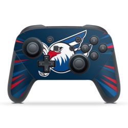 Folien für Controller matt