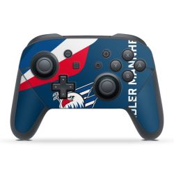 Folien für Controller matt