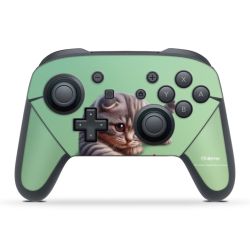 Foils for Controller matt