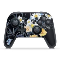 Foils for Controller matt