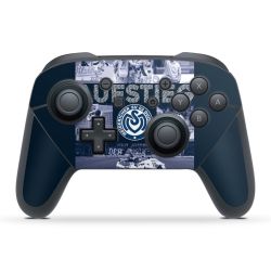 Folien für Controller matt