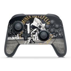 Folien für Controller matt