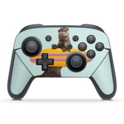 Foils for controller matt