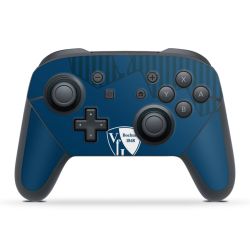 Folien für Controller matt