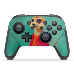 Foils for controller matt