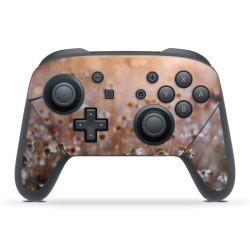 Foils for Controller matt