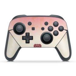 Folien für Controller matt