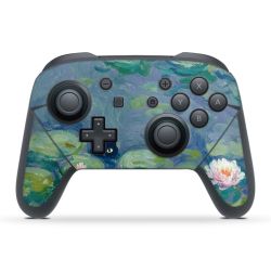 Folien für Controller matt