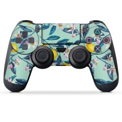 Folien für Controller matt