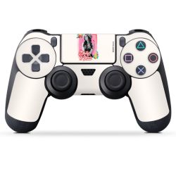 Foils for Controller matt