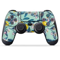 Folien für Controller matt