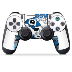 Folien für Controller matt