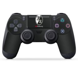 Folien für Controller matt