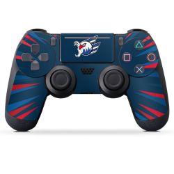 Folien für Controller matt