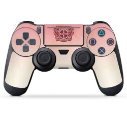 Folien für Controller matt