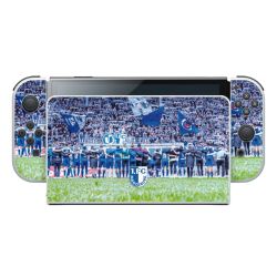 Folien für Spielekonsolen matt