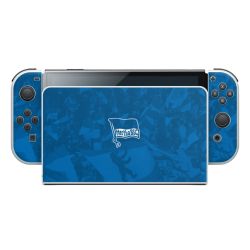 Folien für Spielekonsolen matt