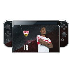 Folien für Spielekonsolen matt