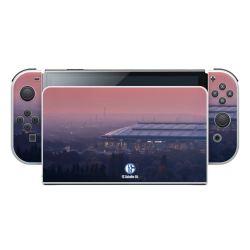 Folien für Spielekonsolen matt