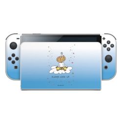 Folien für Spielekonsolen matt