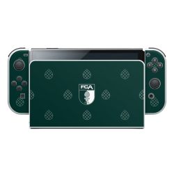 Folien für Spielekonsolen matt