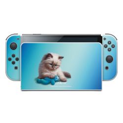 Foils for Consoles matt