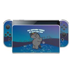 Folien für Spielekonsolen matt